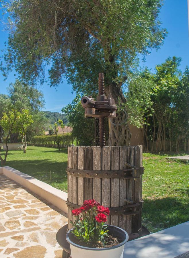 Aparthotel Corfu Palmar 3*